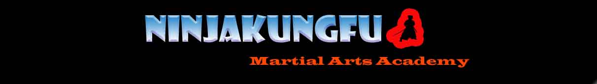 ninjakungfu kickboxing and martial arts academy - hyderabad